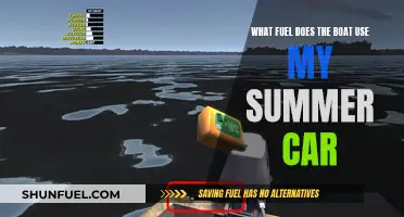 The Fuel Conundrum: What Powers My Summer Boat?
