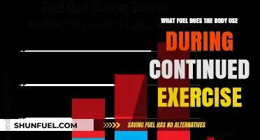 Understanding the Body's Primary Fuel Sources During Prolonged Exercise