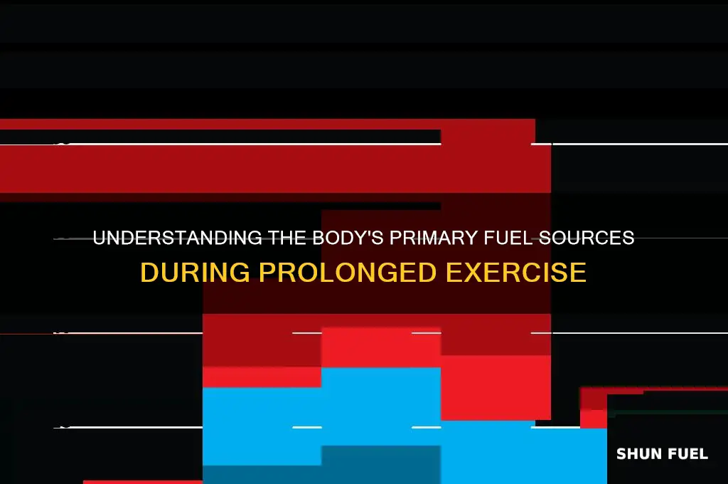 what fuel does the body use during continued exercise
