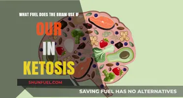 Ketosis and Brain Fuel: Unlocking the Power of Ketones for Mental Energy