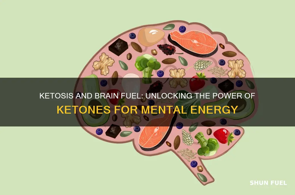 what fuel does the brain use if our in ketosis