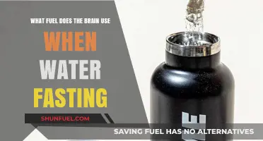 Brain Fuel on Water Fasting: Unlocking Ketones and Glucose Secrets