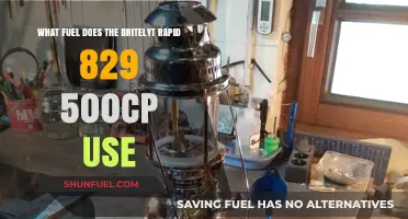 Britelyt Rapid 829 500cp: Understanding Its Fuel Requirements