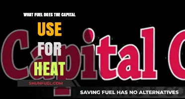 How Does the Capital City Stay Warm? Exploring Heating Fuel Sources