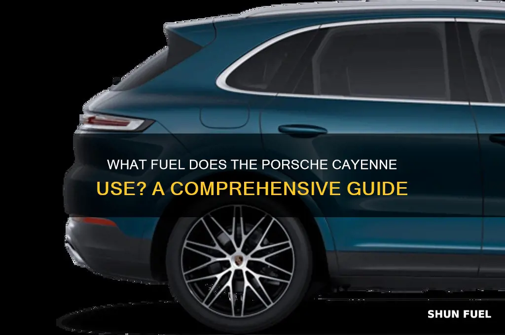 what fuel does the cayenne used