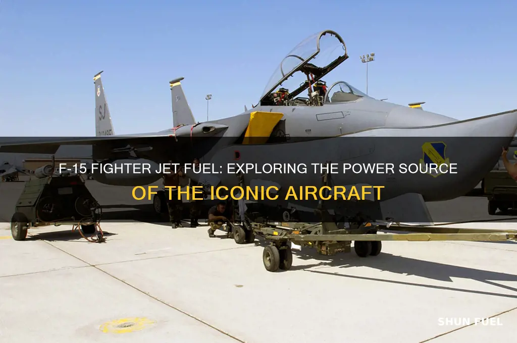 what fuel does the f 15 use
