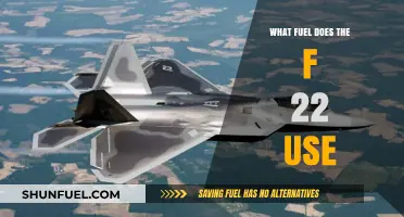 F-22 Raptor Fuel Type: Unveiling the Power Source of the Stealth Fighter