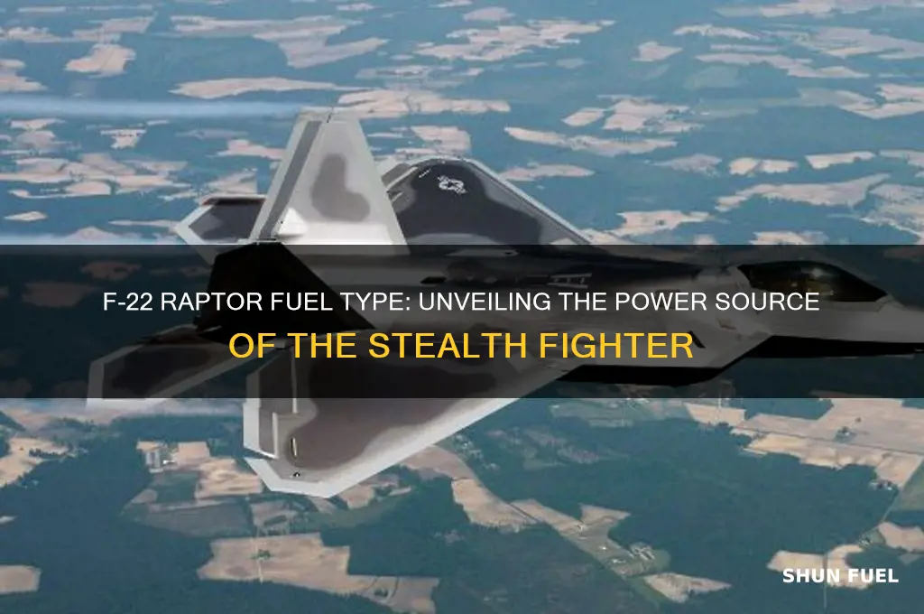 what fuel does the f 22 use