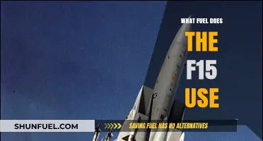 F-15 Fighter Jet Fuel Type and Power Source Explained