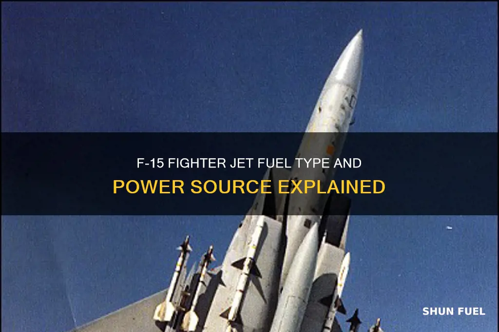what fuel does the f15 use