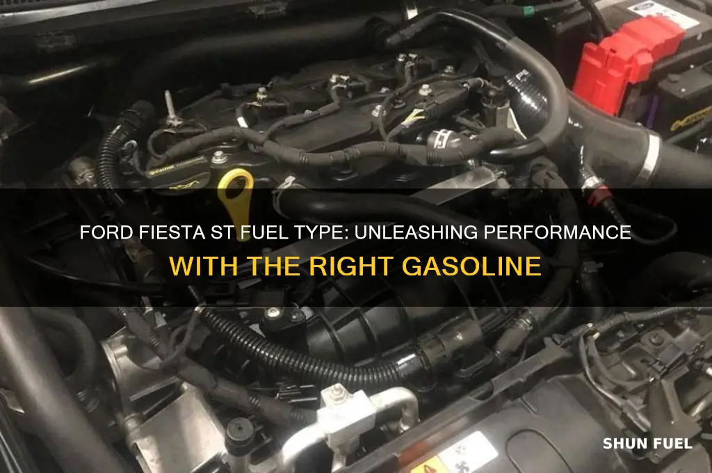 what fuel does the ford fiesta st use