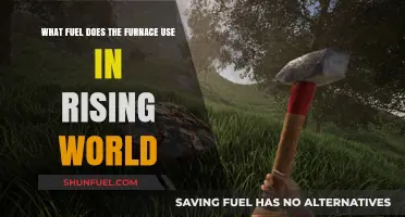 Rising World Furnace Fuel Guide: Types and Usage Explained