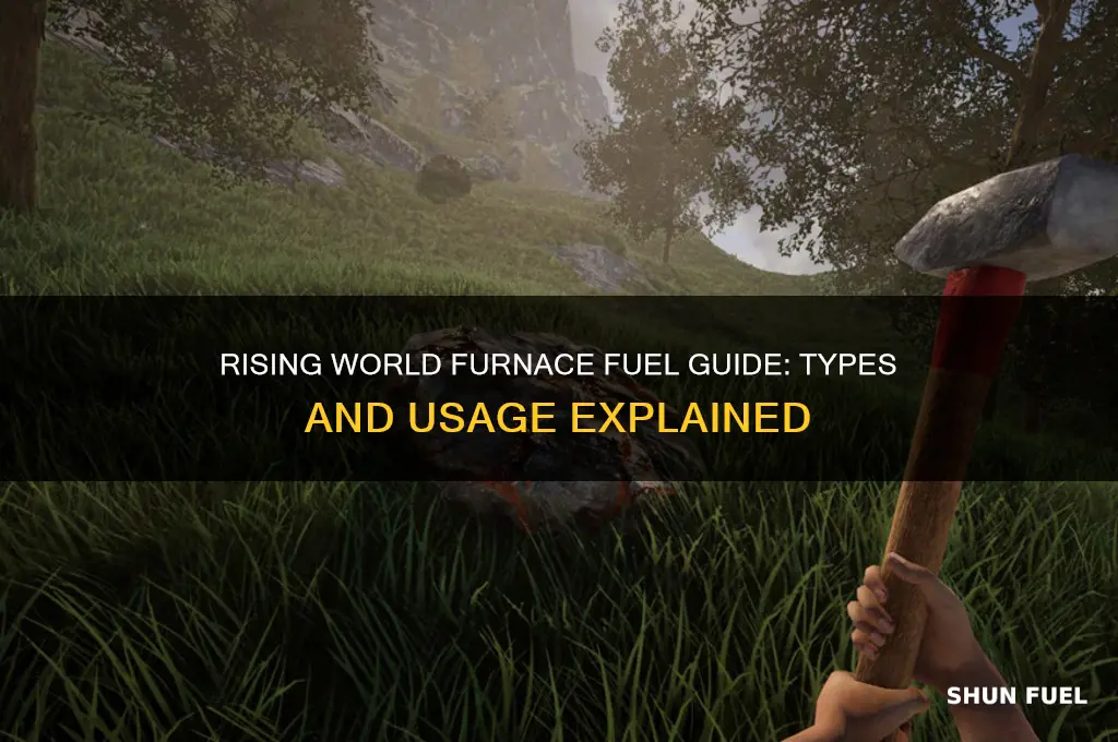 what fuel does the furnace use in rising world