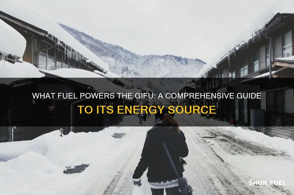 what fuel does the gifu use
