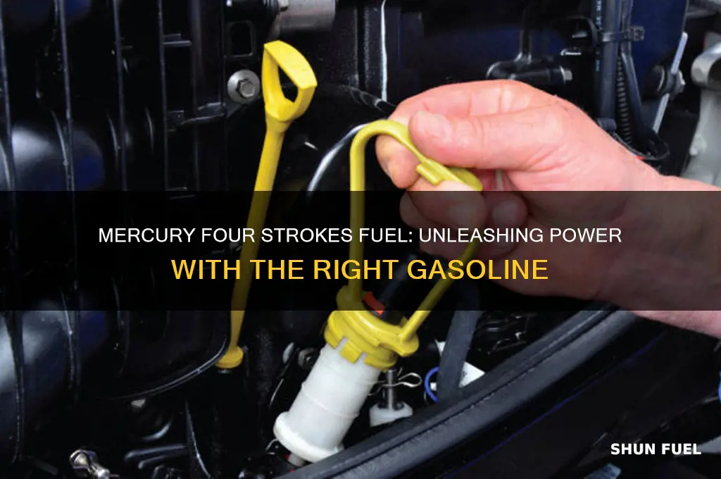 what fuel does the new mercury four strokes use