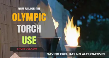 What Fuel Powers the Olympic Torch? Unveiling the Flame's Secret