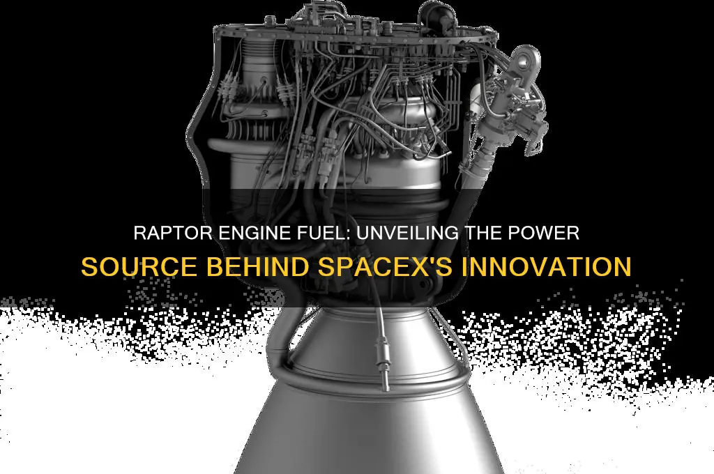 what fuel does the raptor engine use
