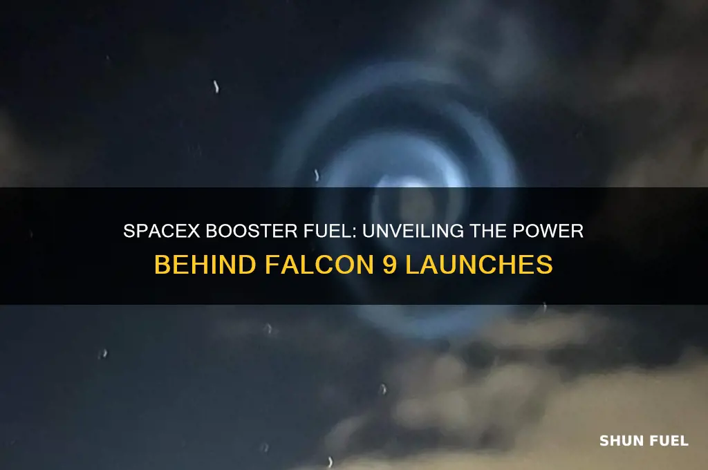 what fuel does the space x booster use