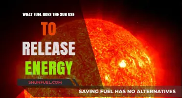 The Sun's Energy Source: Unveiling Its Nuclear Fusion Power