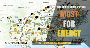 America's Top Energy Source: Unveiling the Most Used Fuel in the US