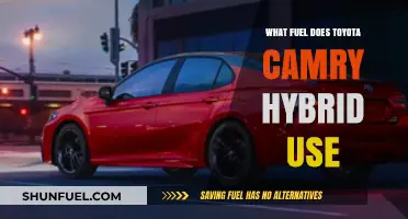 Toyota Camry Hybrid Fuel Type: Gasoline and Electricity Explained