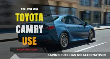 Toyota Camry Fuel Options: Gasoline, Hybrid, or Alternative Choices?