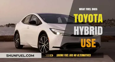 Toyota Hybrid Fuel: Gasoline, Electricity, and Efficiency Explained