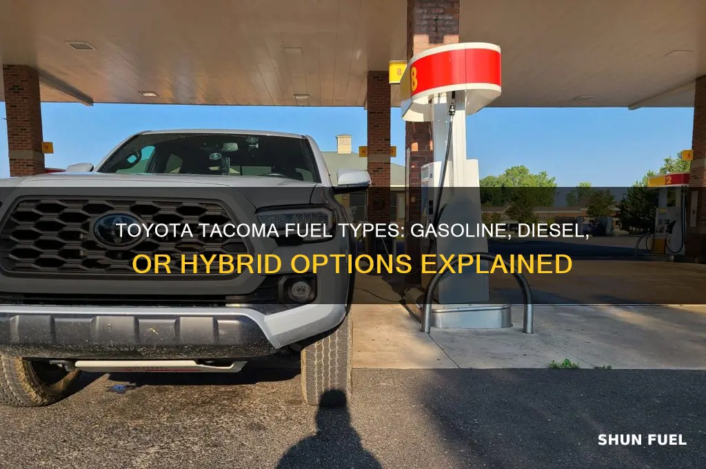 what fuel does toyota tacoma use
