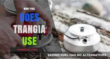 Trangia Fuel Guide: What Powers Your Portable Camping Stove?