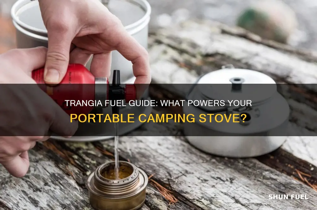 what fuel does trangia use