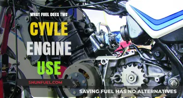 Two-Cycle Engine Fuel Types: Understanding the Right Gasoline Mix