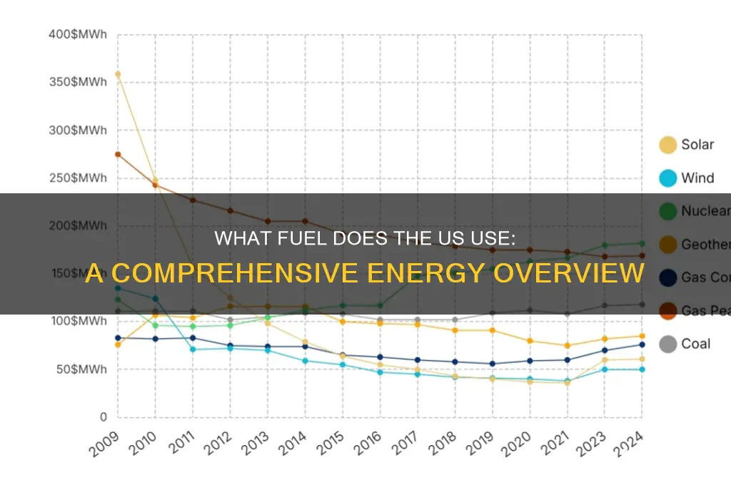 what fuel does us use