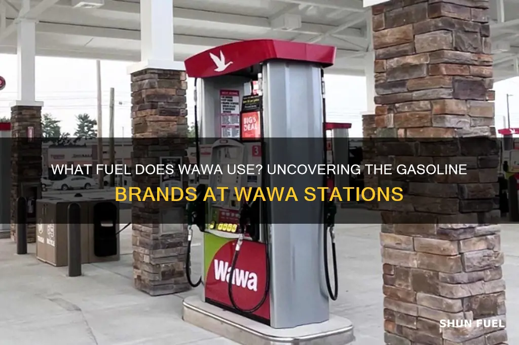 what fuel does wawa use