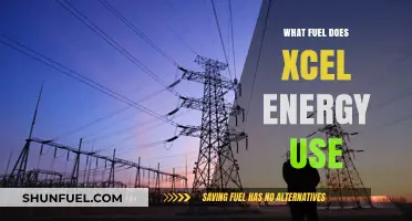 Xcel Energy's Fuel Sources: A Comprehensive Breakdown of Their Energy Mix