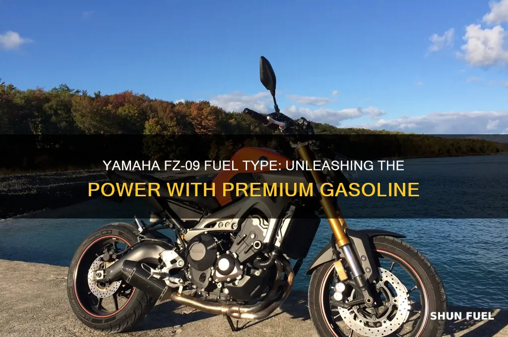 what fuel does yamaha fz 09 use