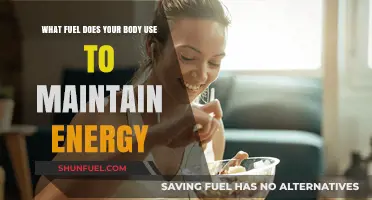 Understanding Your Body's Energy Sources: Fueling Vitality and Stamina