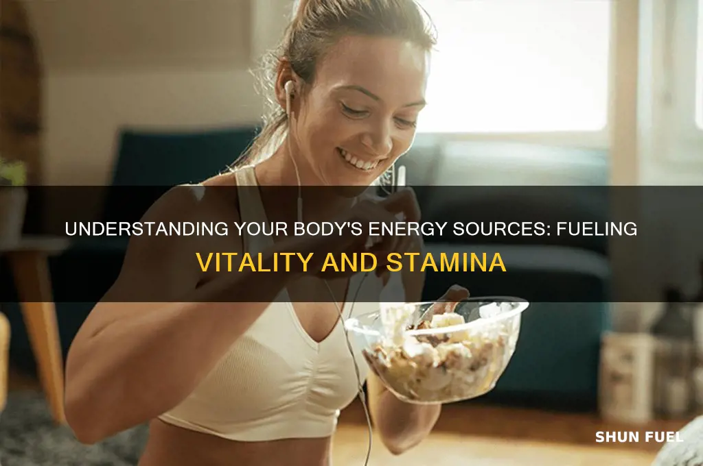 what fuel does your body use to maintain energy