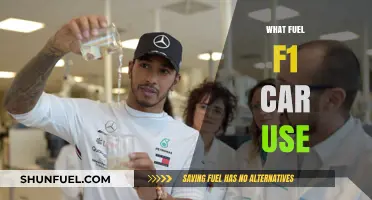 Exploring the High-Performance Fuel Powering Formula 1 Race Cars
