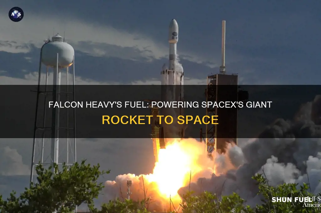 what fuel falcon heavy