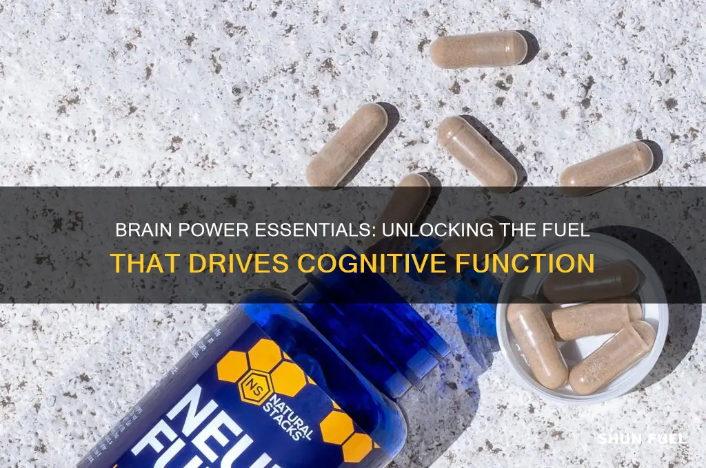 what fuel feeds the brain
