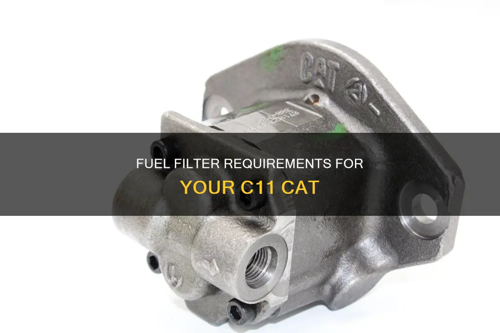 what fuel filter does a c11 cat take