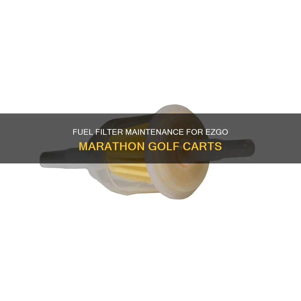what fuel filter ezgo marathon