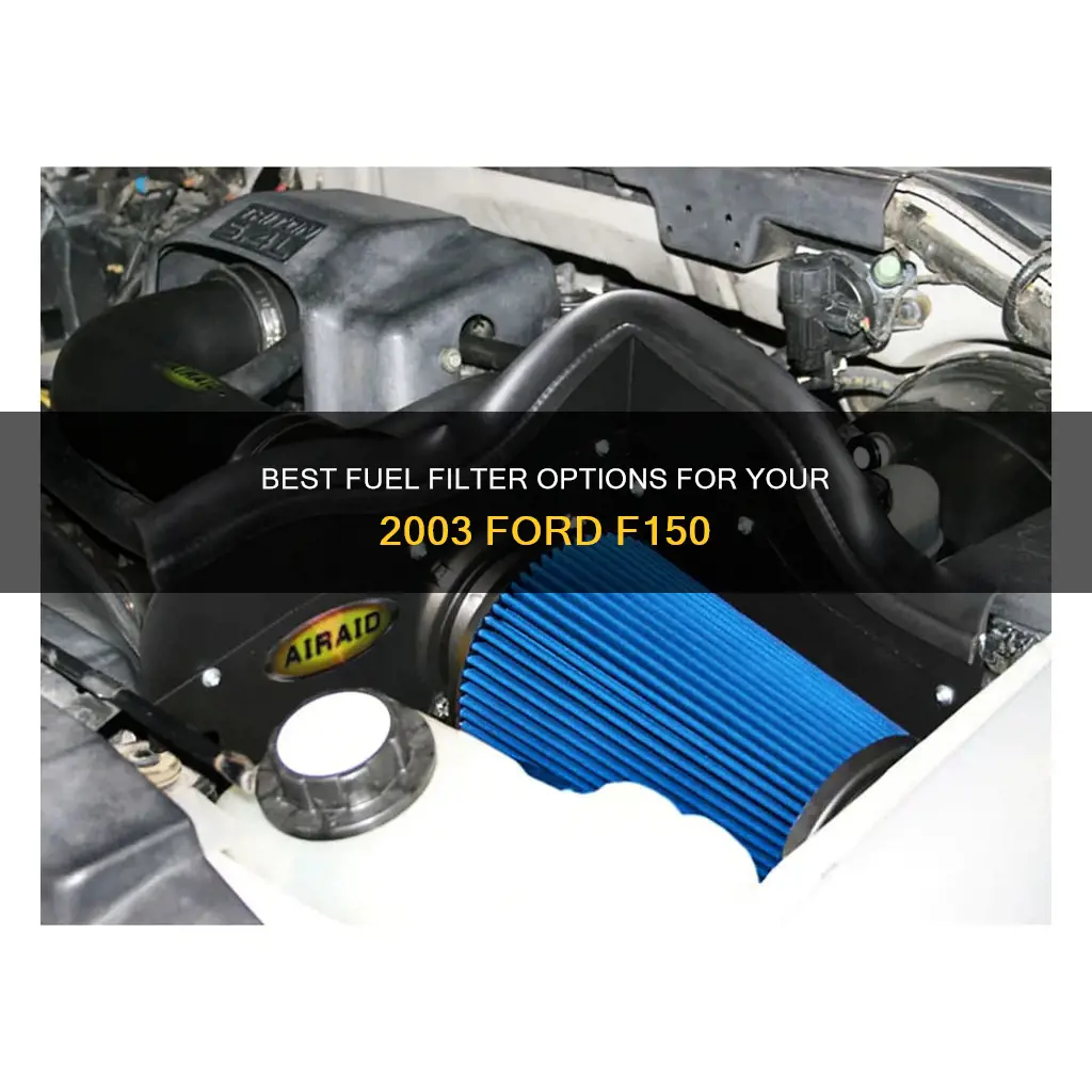 what fuel filter for 2003 ford f150