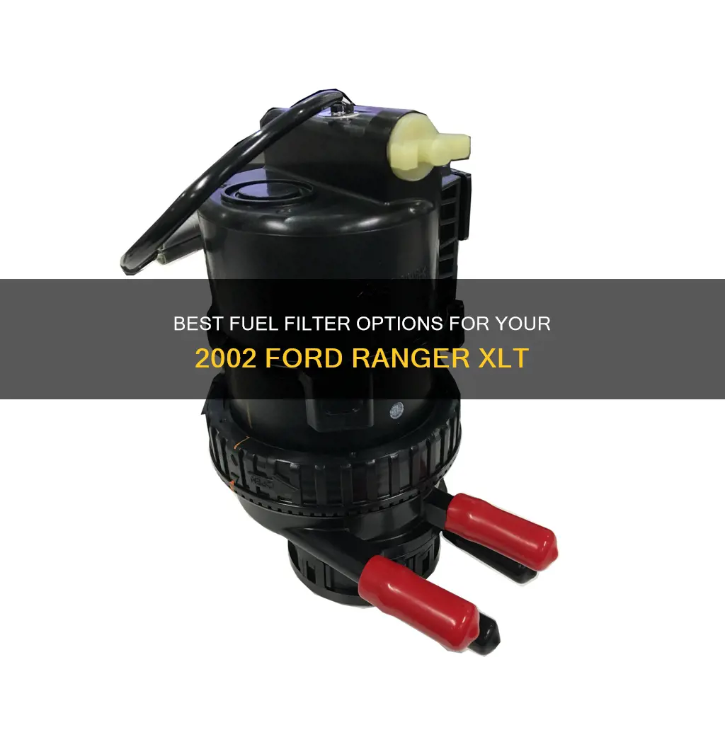 what fuel filter for a 2002 ford ranger xlt