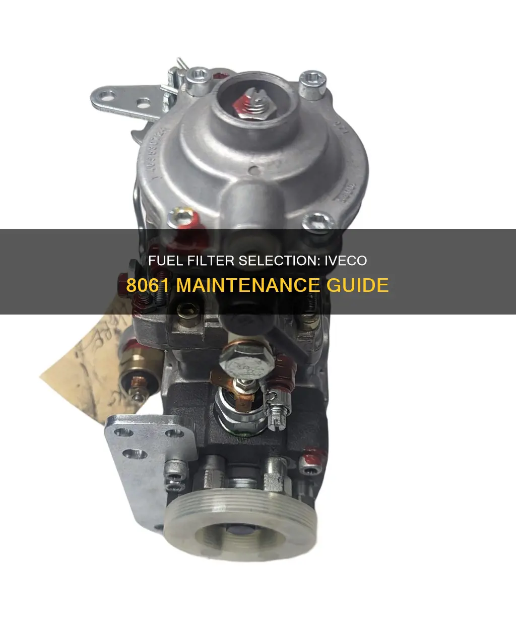 what fuel filter for the iveco 8061