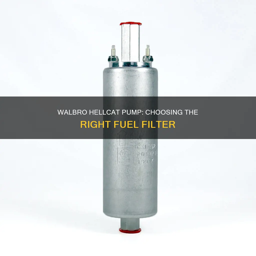 what fuel filter for the walbro hellcat pump