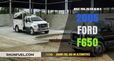 Ford F650 Fuel Filter: Where and How to Change It