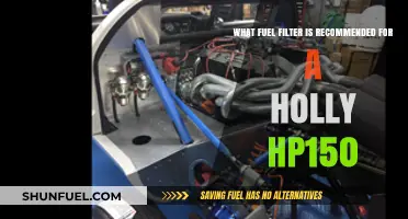 Fuel Filter Choice for Holly HP150: Recommendations
