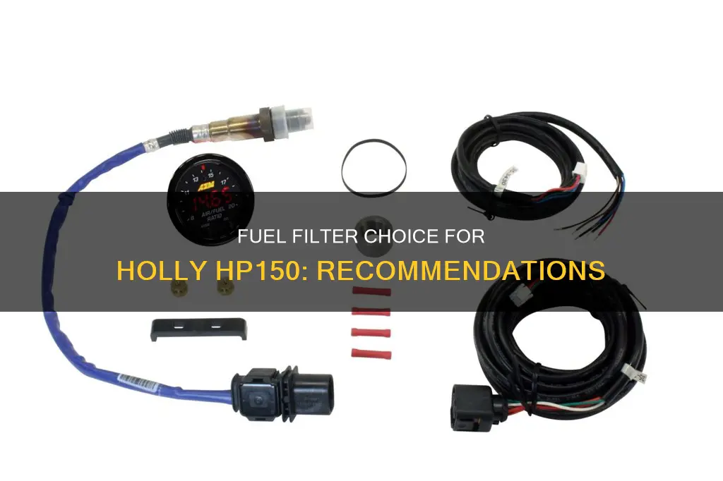 what fuel filter is recommended for a holly hp150