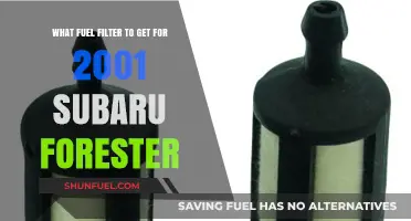 Fuel Filter Options for 2001 Subaru Forester
